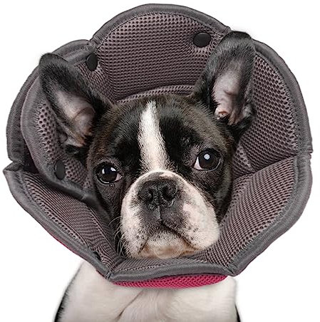 Halskrause für Hund, Halskrause Katze, Schutzkragen Hund, Atmungsaktiver Hundehalskragen FüR Kleine, Mittlere Und GroßE Hunde, Verstellbarer Hunde-Erholungskragen Nach Der Operation - Rosenrot M