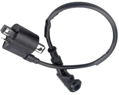 Buaak 2 Pin Motorrad Zündspule, ATV Zündspul e Ersatz, Zündspu le Auto, Scooter Zündsp ule, Zündspulen Abzieher, Motorzündspule, Zünds pulen für CG125, 150CC, 200CC, 250CC ATV, Roller, Moped, Go-Kart