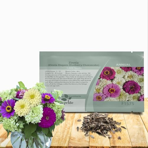 Outsidepride Blueberry Cheesecake Zinnia Seeds - 1000 Seeds Annual, Heat & Drought Tolerant Flower Seeds for Planting w/Vibrant Blooms for Pollinator Gardens & Floral Arrangements