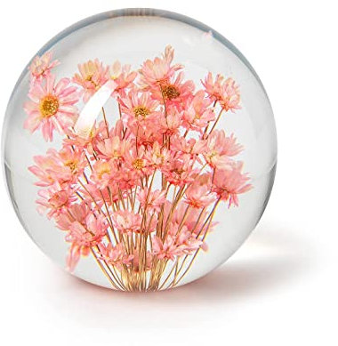 In Flore Fleur Briefbeschwerer aus Harzglas, mit echter rosa Blume, 7 cm, rosa