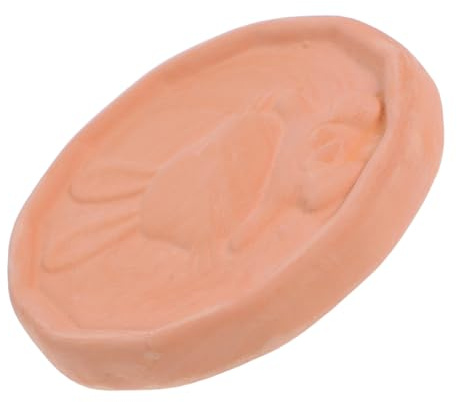 iplusmile Mantenimiento de Frescura Arcilla Roja Terracota para Suavizar Azúcar Moreno Control de Humedad de Alimentos para Contenedores de Azúcar Absorbente de Humedad para Cocina
