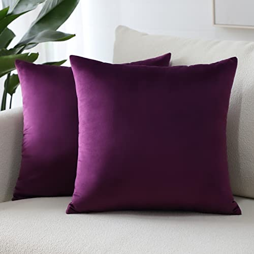 Sungeek 2er Set Samt Kissenbezüge, Dekorativ Zierkissenbezüge Weich Kissenbezug Dekokissen Sofakissen Couchkissen Deko Bezug Kissenhülle für Sofa Schlafzimmer Wohnzimmer (60x60 cm, Aubergine Lila)