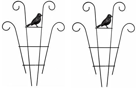 2 Pcs Plant Trellis for Climbing Plants outdoor, Black Coated Fan Pot Trellis Garden Metal Support Stake for Indoor Outdoor Vines Flower Vegetable (D)