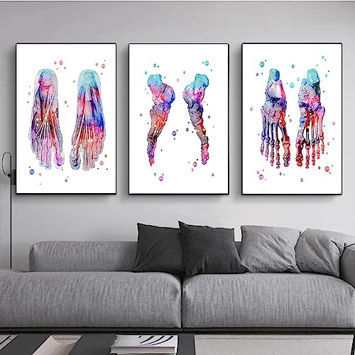 MHLCMG Leinwand Malerei Bunt Abstrakte Fußknochen Anatomie Bilder Wandkunst Modernes Poster Kunstdruck Bild Wand Wohnzimmer Schlafzimmer Dekor Kein Rahmen (3X40X50CM)