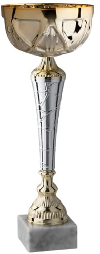 Hole Gadget Coppe Premiazioni Trofei Personalizzate Varie Misure Calcio, Fantacalcio, Tennis, Padel, Basket, Volley Premiazioni Sportive Eventi Riconoscimenti con Targhetta cod 11.871 (38 cm | Oro)