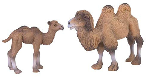 SPYMINNPOO 2 St¨¹ck Miniatur-Kamel-Figur, Tierfigur, P?dagogische Geschichte, Requisiten, Schrankdekoration