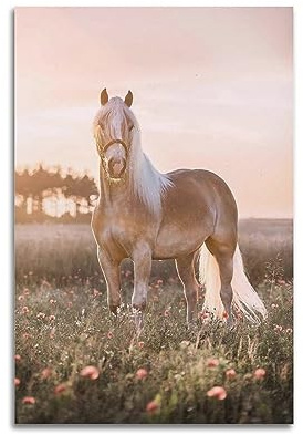 WARL Schönes Haflinger-Pferd-Poster, dekoratives Gemälde, Leinwand-Kunstbild, 40 x 60 cm