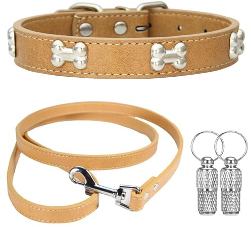 Suiecuor Halsband und Leinenhalsband hundehalsband kleine Hunde Lederhalsband Geeignet für kleine mittlere groß Hunde und Katzen Khaki S