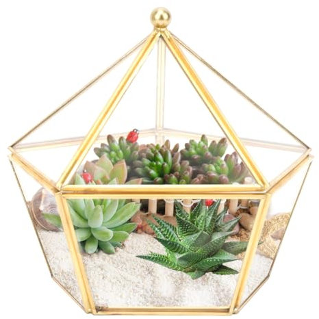 Jenngaoo Mini Terrarium Géométrique en Verre, Support Plante d'air 6.3 Pouces Seuil de Fenêtre Décor Étagère Planteur Pot de Fleur en Verre Plantes Succulentes Conteneur Cactus Pot Fougère