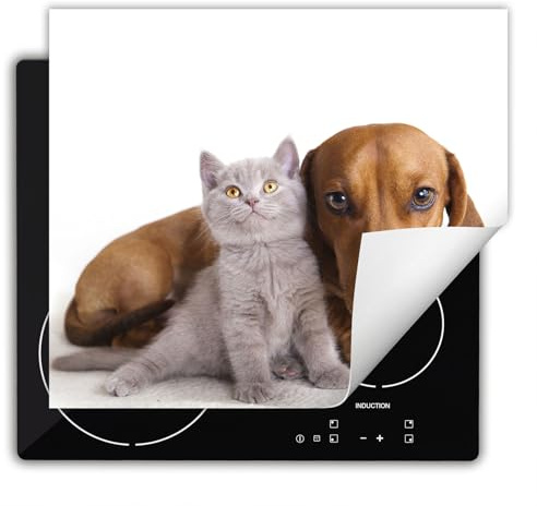 DarHaus Herdabdeckplatte Einteilig Küche Herdabdeckung Ceranfeld Herdabdeckplatten Anti Rutsch Matte Aufrollbar 60x52 cm, Katze und Hund