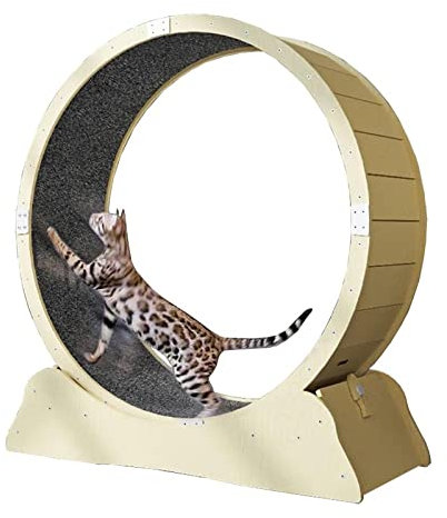 Hundelaufband Laufrad für Katzen, Laufrad für Katzen, Kratzbrett für große Katzen, Laufband für Haustiere, Gewichtsverlust, Katzenspielzeug für Katzen und Kätzchen im Innenbereich