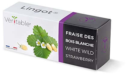 Lingot® Fraise des Bois Blanche - Compatible Potager d'Intérieur Véritable® et Exky® - Recharge prête à l'emploi - Substrat avec Graines Intégrées…