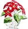 H&D HYALINE & DORA Decorazione a forma di stella di Natale, in vetro, con confezione regalo, 6 fiori