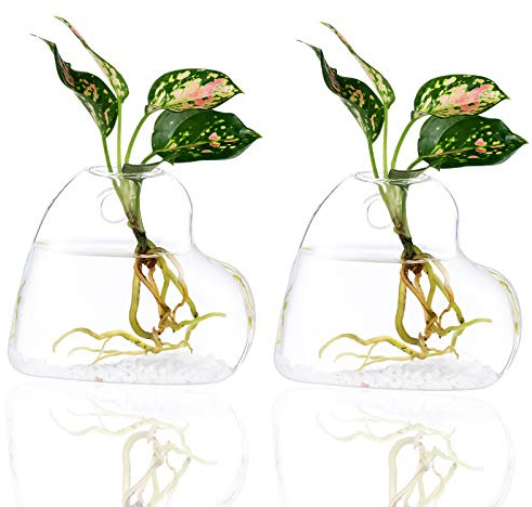 Kingbuy 2 Stück Wandpflanzen-Terrarien aus Glas zum Aufhängen, Herzform, Luftpflanzenhalter, Innenbereich, Zuhause, Büro, Wohnzimmer, Dekoration, Vase, Sukkulenten-Behälter