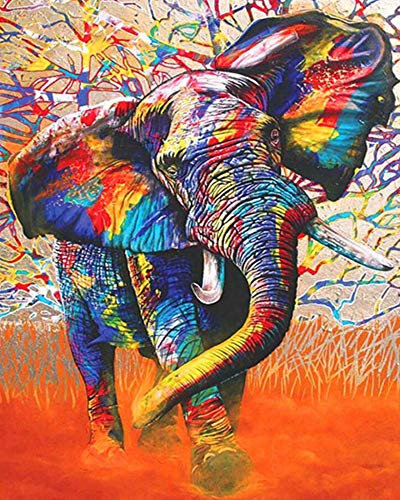 GJJHRA Malen nach Zahlen Erwachsene Kinder Anfänger,DIY Handgemalt Ölgemälde Kits auf Leinwand mit Pinsel-Leinwand, Geburtstag Weihnachten Geschenk,Elefant - 40x50 cm（Fotorahmen）
