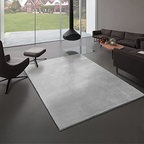 Mia´s Teppiche Bella Kuscheliger Hochflor Langflor Wohnzimmer Fellteppich, Super Soft, Kunstfell, Flauschig, Grau, 120 x 170 cm