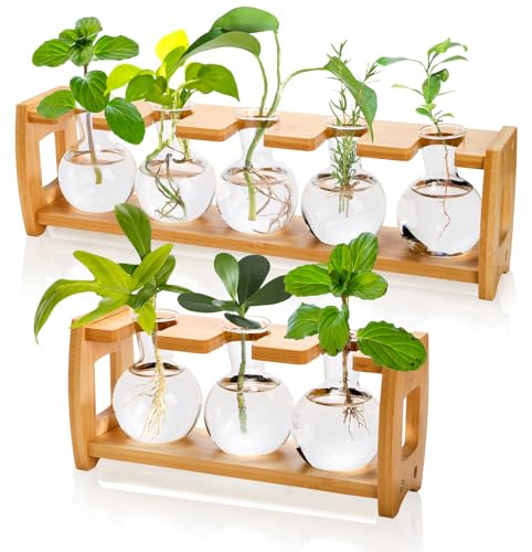 Pumtus 2 Pack Plant Propagation Stations, Desktop Plant Terrarium with Wooden Stand, Water Propagation Station, Hydroponic Plants Vase with 8 Glass Bulbs, Small Propagated Plant Jar for Home Office