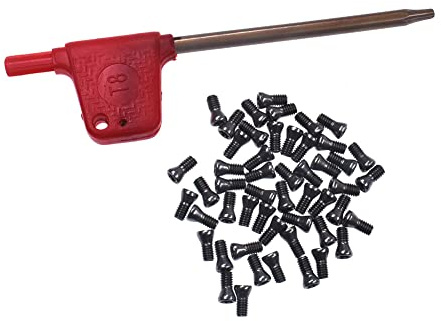 50 Stück M2,5 x 6 mm Einsatz-Torx-Schrauben für Hartmetall-Einsatz-Drehmaschinen und Schraubendreher