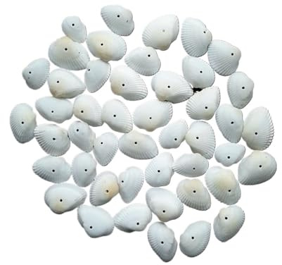 Coquilles de mer Coquilles de mer mixtes, Coquillages for l'artisanat Coquillages de mer blancs for la décoration de la maison Fête Mariage Bricolage(With Hole)
