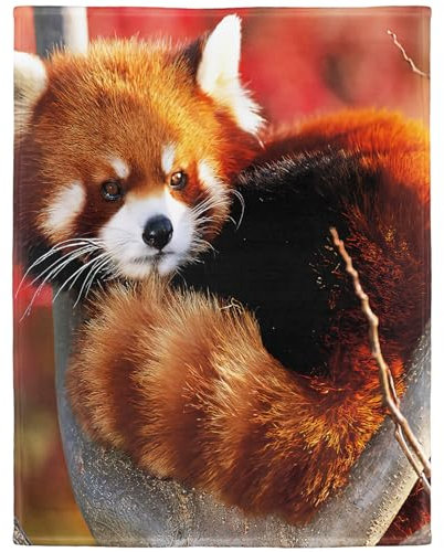 YISUMEI Decke 150x200 cm Kuscheldecken Sanft Flanell Weich Fleecedecke Bettüberwurf lustiger süßer roter Panda