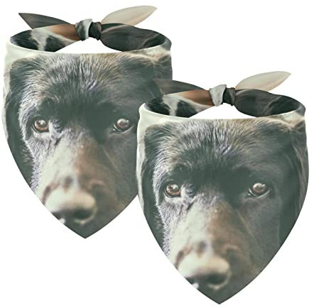 2 Stück Hundehalstücher Mädchen Junge Haustier Lätzchen Hundeschal für kleine mittelgroße große Hunde Welpen Katze Tier Schwarz Niedlich Labrador Hund Maulkorb Stare