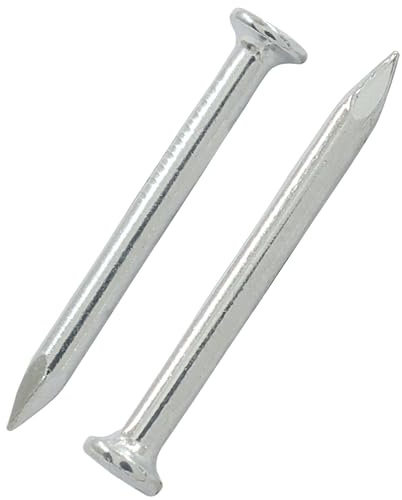 Litoexpe 800 Pcs 1 Inch Stainless Steel Hardware Nails, 25mm Round Head Nails for Wall & Wood Finishing and Carpentry Projects