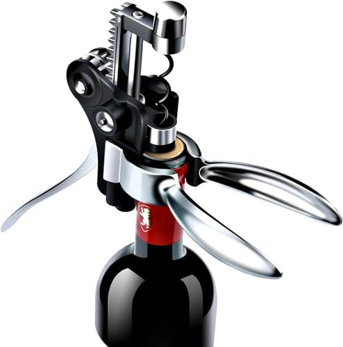 Set di Cavatappi Apribottiglie per Vino Premium - 5 In 1 Set, Taglia Foglio, Versatore, Tappi per Vino Sottovuoto con Caso Regalo