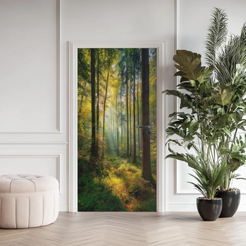 3D Türaufkleber Sonnenstrahlen Wald 77x200 cm - Natur Waldlandschaft Türtapete Selbstklebend Abnehmbar Wasserdicht Vinyl Fototapete Türdeko für Wohnzimmer Schlafzimmer