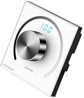 Dimmer LED 12V 24V Dimmer PWM Controller 12V-24V Pannello manuale a parete Display digitale Rotante Striscia LED monocromatica Dimmer