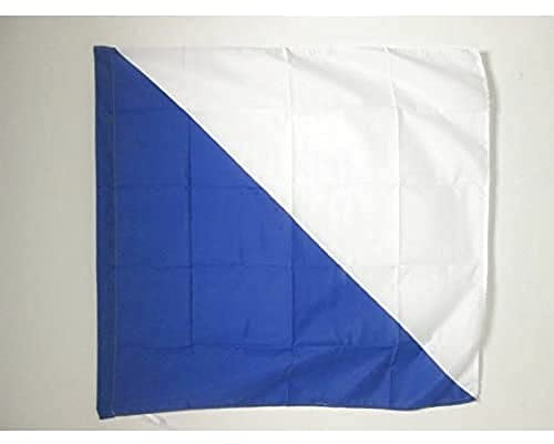 AZ FLAG Drapeau Canton de Zurich 90x90 cm Polyester 100D Fourreau | Usage intérieur et extérieur Drapeau décoratif de ZÍ¼rich coutures doubles et bords renforcés avec fourreau pour mât