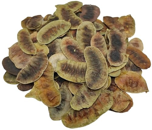 Getrocknete Senna Schoten Kräutertee 85g - 1,95 KG Prämie Qualität Senna Alexandrina (220 gramm)
