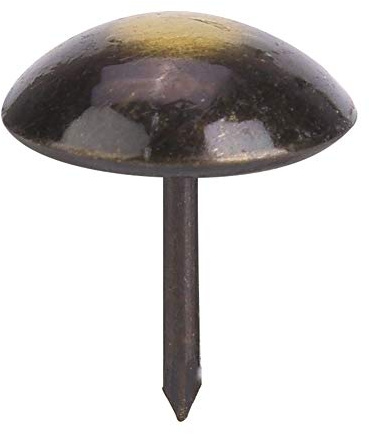 ANKROYU 100 Pezzi Chiodi per Tappezzeria, Perni per Puntine da Tappezzeria Ispessiti a Testa Rotonda retrò, Perni Antichi con Borchie a Spinta, Puntine da Disegno Decorative per (19 * 23 mm)