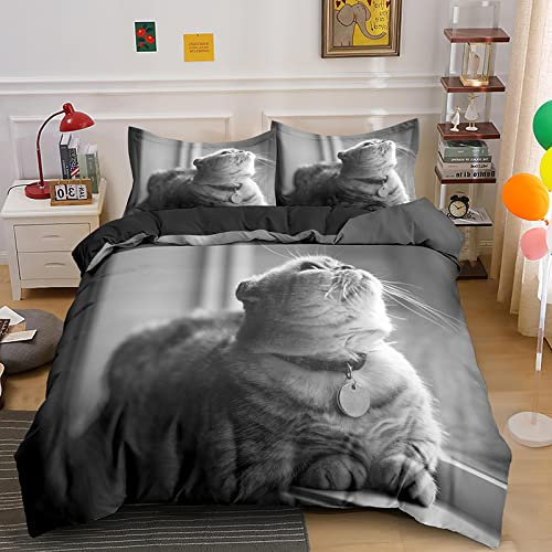 CHCHNXY Bettwäsche 200x200,Graue Katze 3 Teilig Weich und Atmungsaktiv Bettwäsche-Set,für Jugendliche Erwachsene 1 Bettbezüge mit Reißverschluss und 2 Kissenbezug 80x80cm