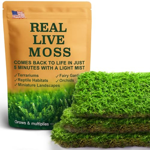 Live Moss – Plagiomnium Moss (3 Sheets, Each Approx. 3.5x7) for Terrariums, Moss Balls, Bonsai & Natural Plant Decor – Naturally Grown, Reusable, Not Artificial
