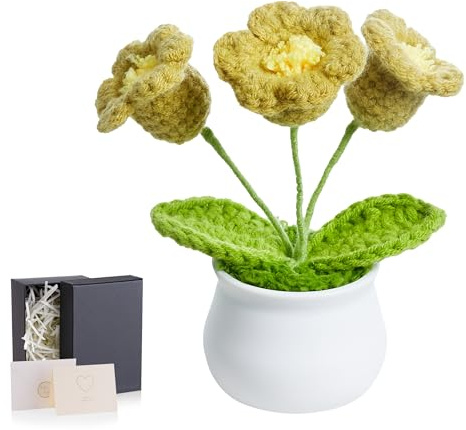 LAIDANLA Fiori all'uncinetto Lilly of the Valley, verde piccolo fatto a mano apprezzamento di Natale regalo di compleanno per donne, insegnante, mamma, sorella, nonna, collega, amica, fiori in vaso a