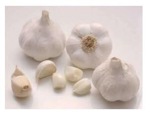 Aglio da semina 500 g – bulbi selezionati per coltivazione e orto domestico – alta resa e facile germinazione - SCONDIZIONATO - CON LOTTO E PROVENIENZA - con assistenza tecnica agraria