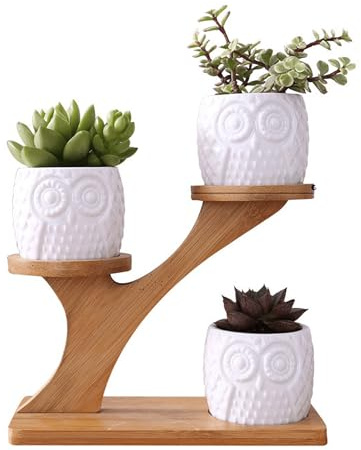 Simcat Lot de 3 pots en céramique pour plantes grasses avec 3 niveaux en bambou, pot de fleurs en céramique avec drainage, mini pot de fleurs en forme de cactus pour décoration de maison, jardin,