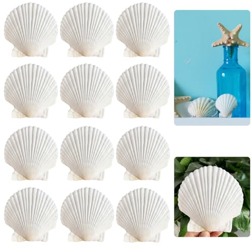 LINGJIA Coquillages Blancs Saint Jacques Décoratifs - 12 Pièces Artisanat, Peints pour Carillons à Vent (10-11cm)
