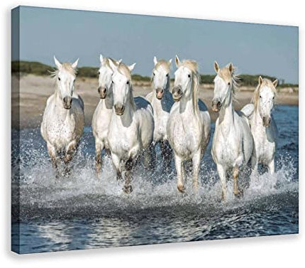 Großes Pferd Wandkunst Bilder Tierdrucke laufende Pferde Gemälde Poster Leinwand Poster Wandkunst Dekor Druck Bild Gemälde für Wohnzimmer Schlafzimmer Dekoration Rahmenstil 30 x 45 cm