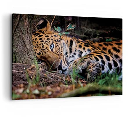 ARTTOR Leinwandbild 120x80cm Wandbilder Afrika Natur - 4493