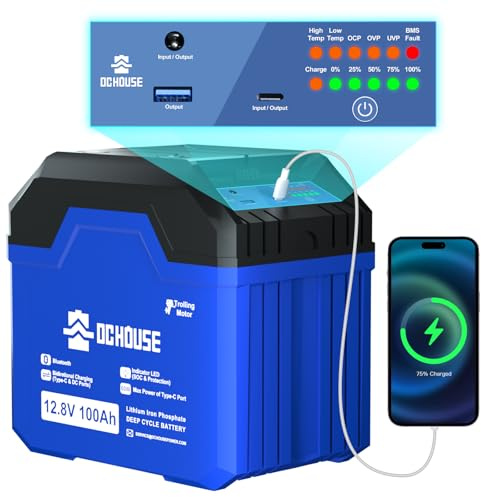 DCHOUSE 12V 100Ah LiFePO4 BLuetooth Batería de Litio con Luz SOC,USB-A, DC, Puertos Tipo-C,Built-in 100A BMS, Batería de Ciclos Profundos para Trolling Motor,Autocaravana, Caravana,Camping