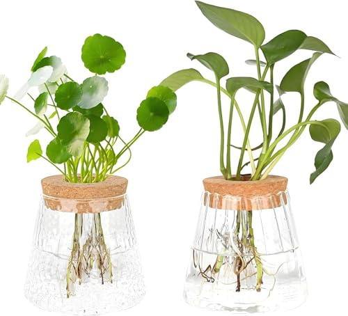 2 jarrones de plantas hidropónicas, jarrón de flores pequeño vintage para decoración de mesa, jarrón de cristal, estación de propagación, jarrón de bolas para plantas, flores, plantas de interior
