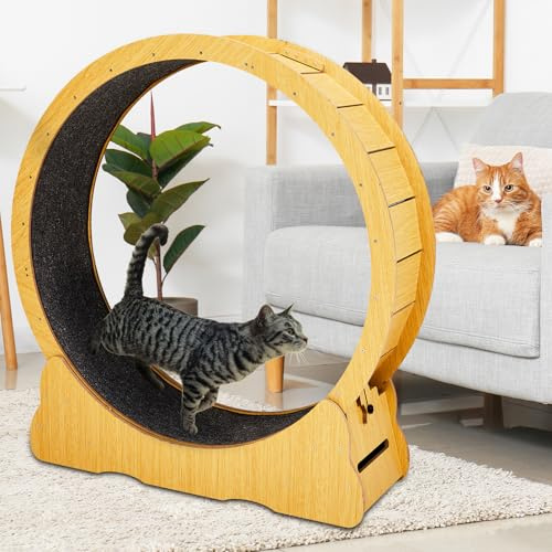 Vingli 39.4 Cat Exercise Running Wheel For Indoor Cats, Natural Wood Color | Safety Lock, Removable Carpet, Silent Fitness Toy for Indoor Cats