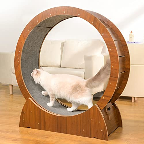 Katzenlaufband Mit Kleiner Lücke, Hölzernes Katzen-Übungs-Riesenrad/Katzen-Rad-Spielzeug/Katzen-Laufrad, Großes Katzenkratzbrett Für Den Innenbereich, Braun,Brown-M-Diameter 90cm(35 3/8