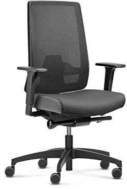 Dauphin Indeed Performance, ergonomischer Bürostuhl mit tiefenverstellbarer Lordosenstütze, höhenverstellbarer Kopfstütze, 2F-Armlehnen, Drehstuhl (Netzrückenlehne, ohne Kopfstütze)