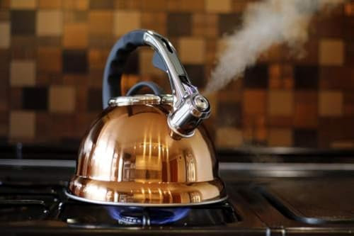 Stunning Copper Gold Colour Whistling Kettle 3.5L
