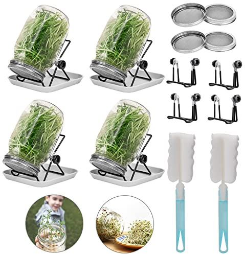 Lulonpon 4 Sprouting Jar Kit, Wide Mouth Quart Mason Jars with Stainless Steel Screen Sprout Lids, 86mm,1000ml,Stand,Tray and Canning Brush,Seed Sprouter Set for Growing Broccoli, Alfalfa, Mung Bean