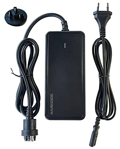 HANERIDE 2A Ladegerät for 36V Bosch Active/Performance Line E-Bike Li-ion Batteries(0275007915)