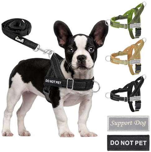 Eyein Hundegeschirr für mittelgroße Hunde mit Leine, Fleece-gepolstert | Anti-Zug Brustgeschirr mit 2 D-Ringen für Training & Spaziergänge, reflektierend, verstellbar an Hals & Brust (Schwarz, S)