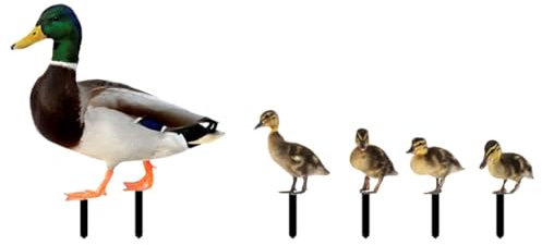 Toddmomy Piquet De Jardin en Acrylique Décoratif Canard pour Pelouse Extérieure, Lot 1 Mère 4 Petits Canards, Décoration De Jardin Insérée Au Sol, Ornement De Pelouse Résistant Et Solide